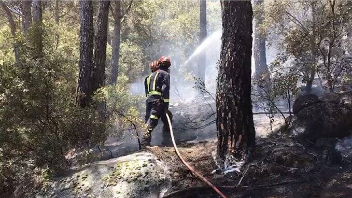 Terrible susto en el madrileño pantano de San Juan por un incendio forestal
