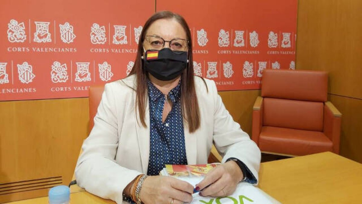 La diputada de Vox Llanos Massó