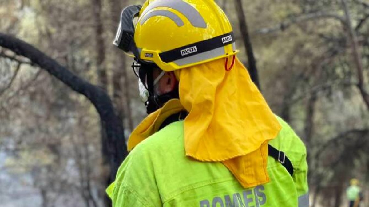 Servicio de Bomberos y Bomberas Forestales de la Generalitat - GVA