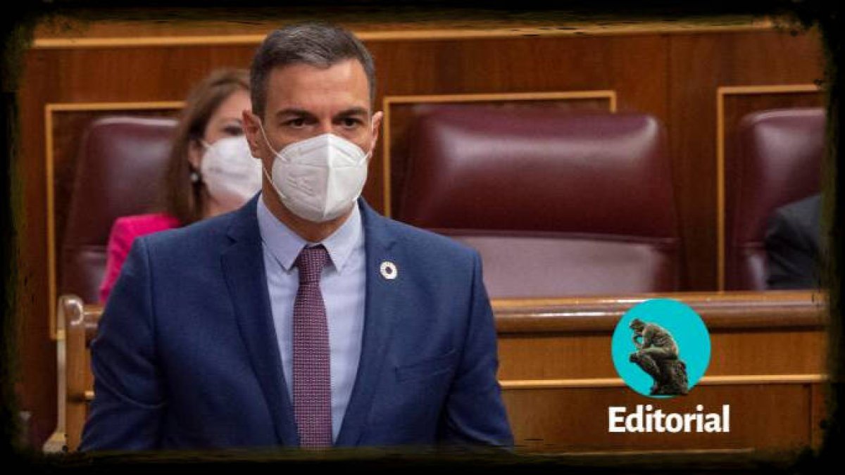 Pedro Sánchez, en el Congreso