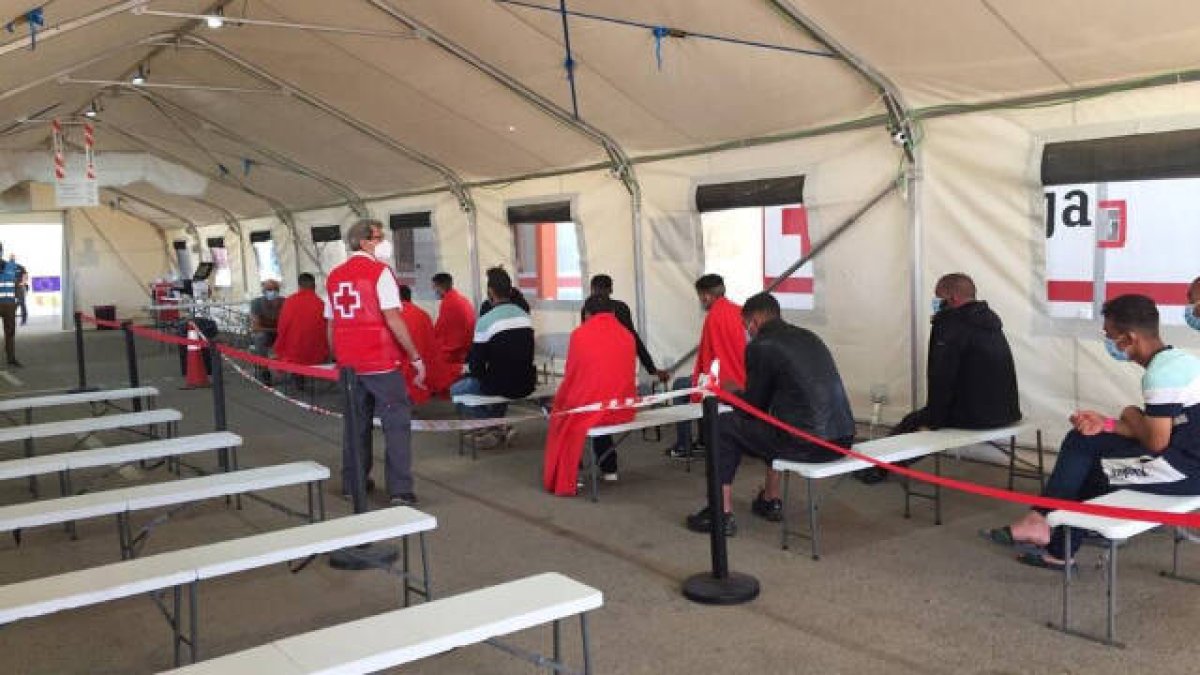 Los migrantes han sido atendidos en las carpas del Puerto de Alicante