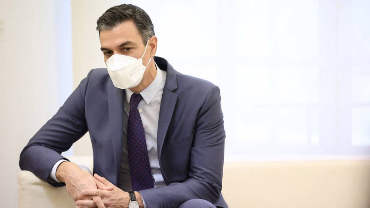 Pedro Sánchez en Moncloa