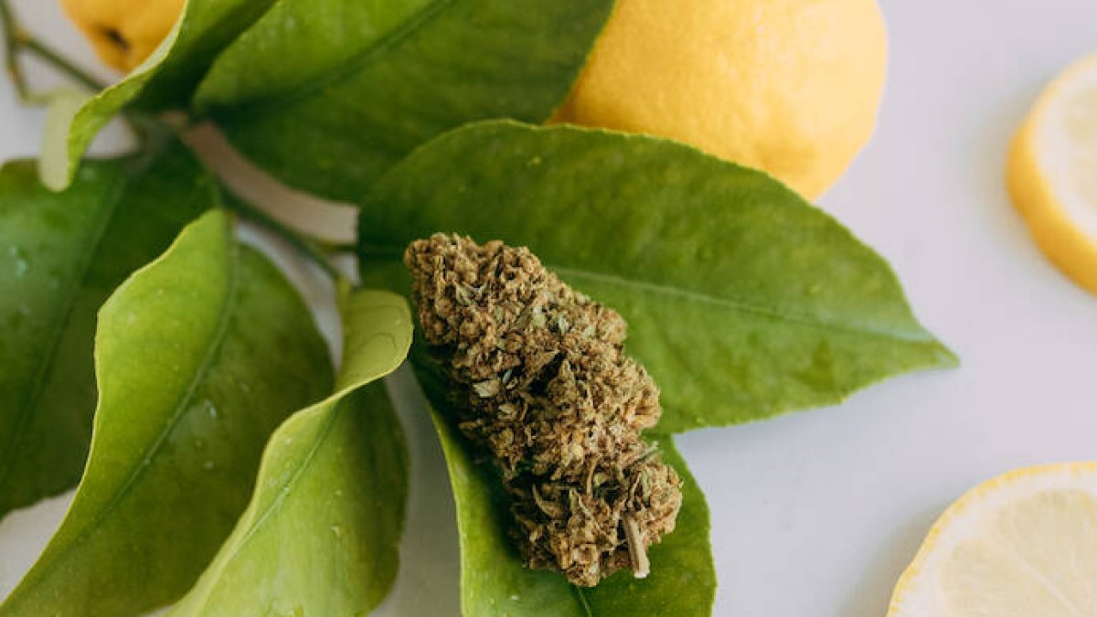 Lemon Haze madrid
