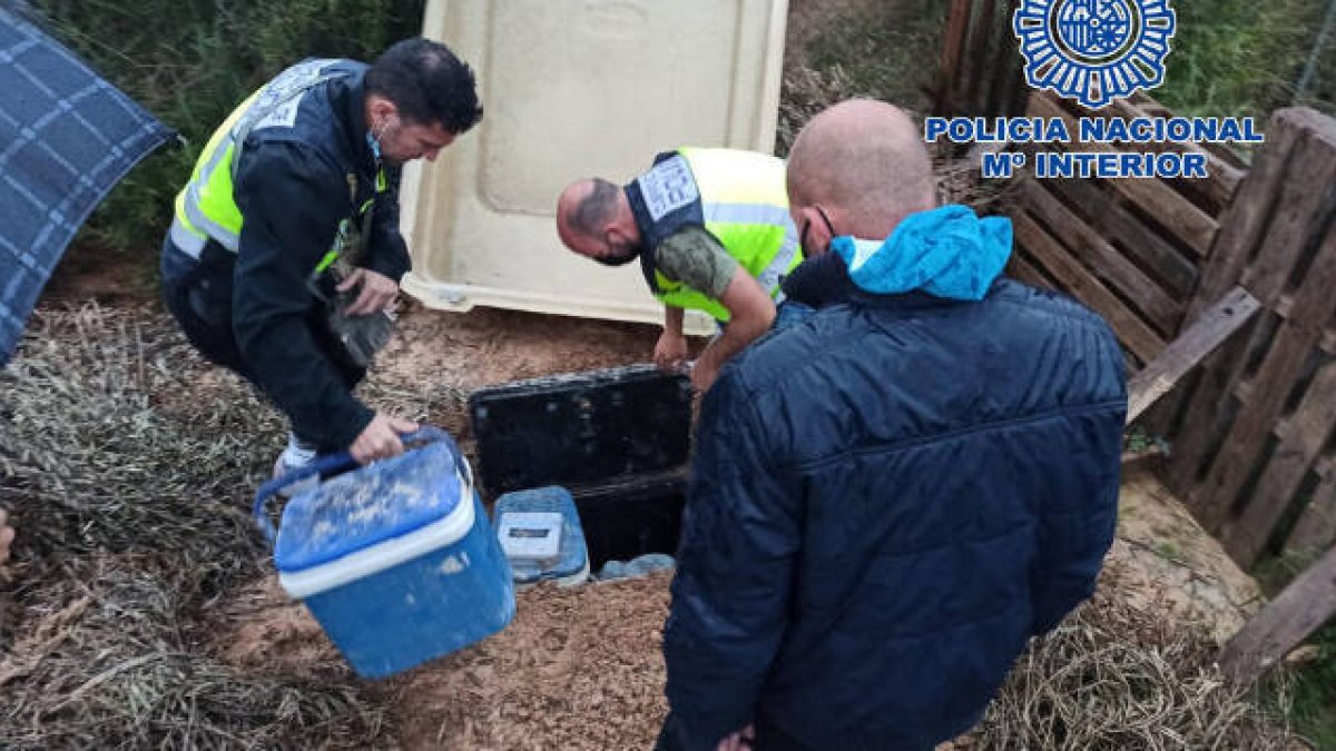 Los agentes han localizado dos neveras portátiles con la droga