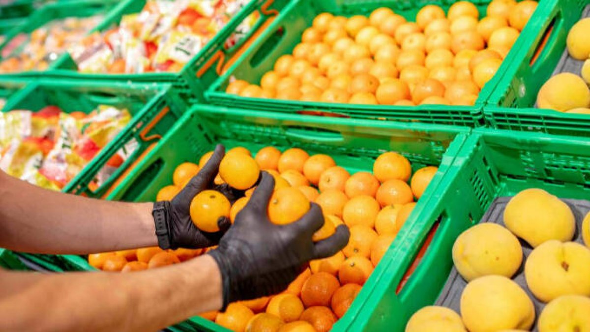 Mercadona inicia la campaña de cítricos de origen nacional