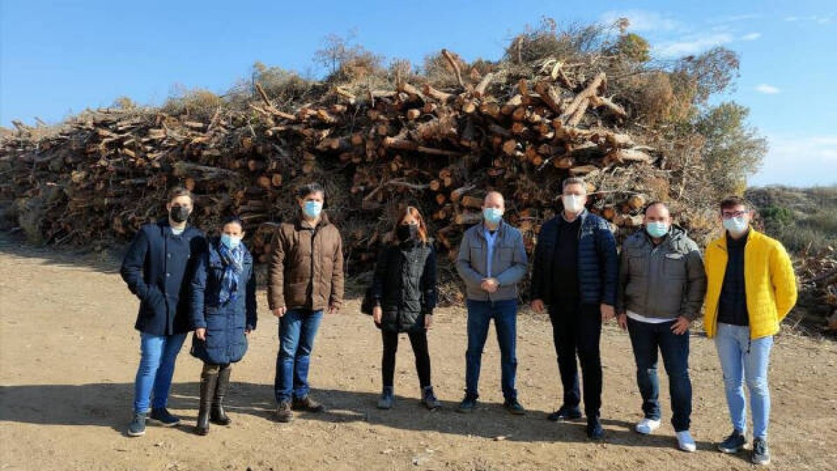 La portavoz del PPCV, Elisa Díaz, pide que se restituyan los 11.000 pinos talados en las emblemáticas dunas