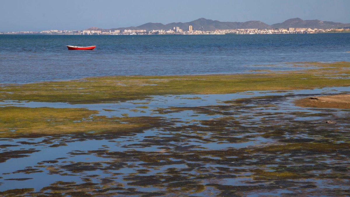 El Mar Menor recibirá 20 millones en ayudas por parte del Gobierno