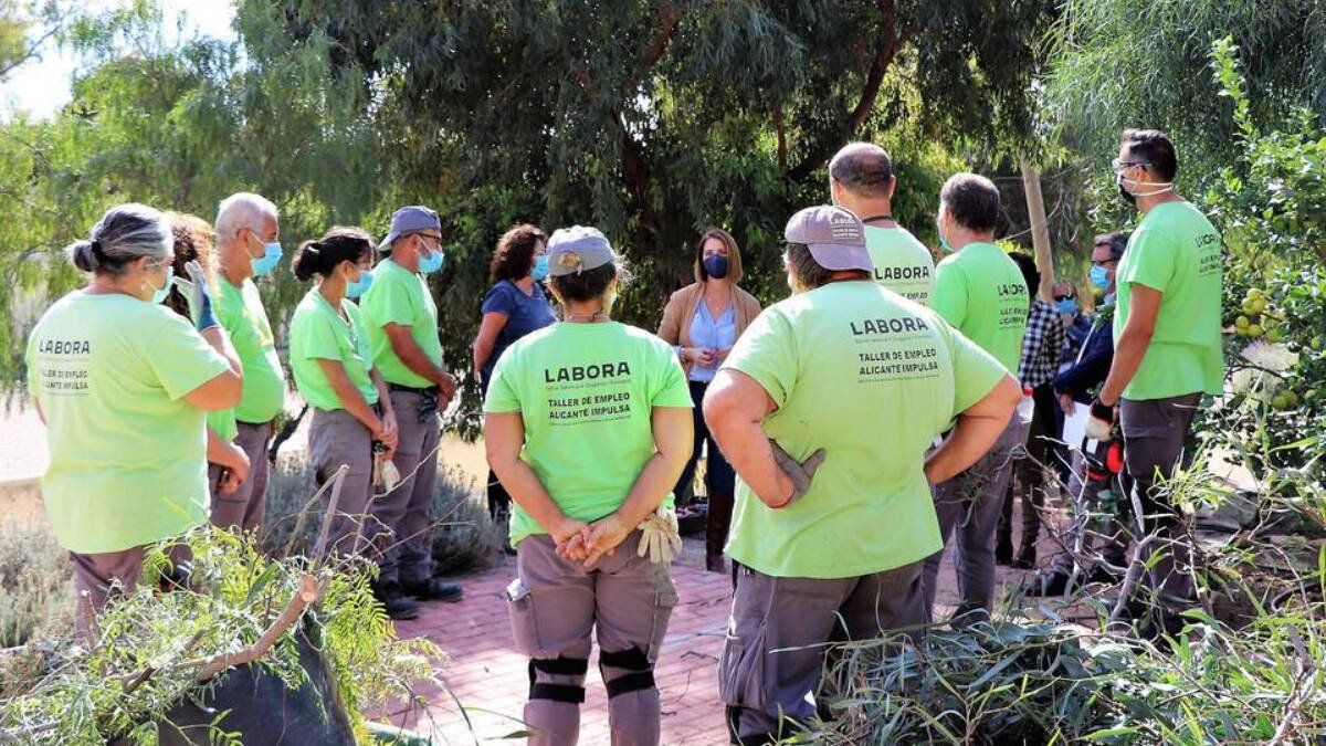 Alicante lanza cursos de formación para el empleo durante el mes de septiembre