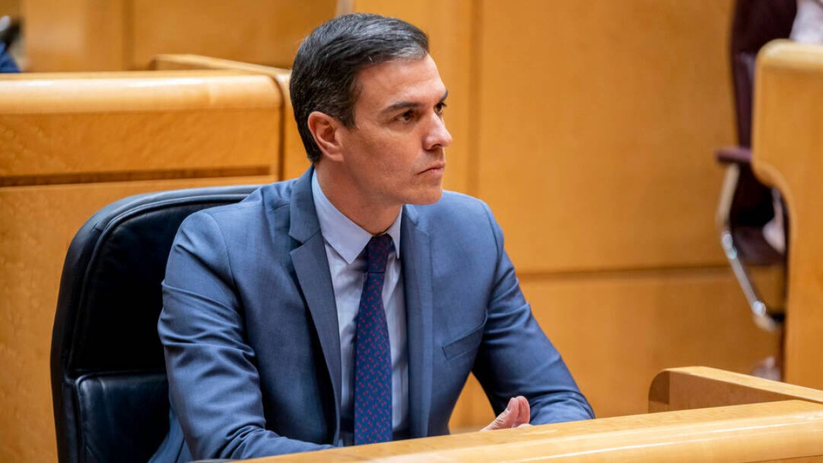 El presidente del Gobierno, Pedro Sánchez, en una sesión de control al Gobierno en el Senado