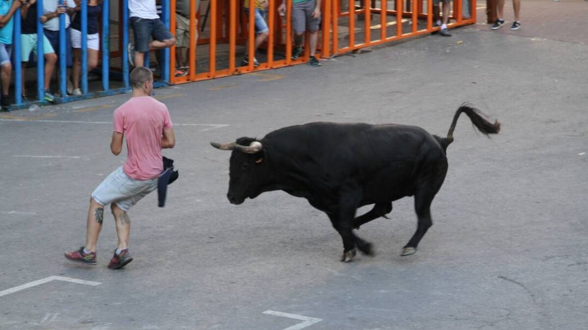Prohibido prohibir
