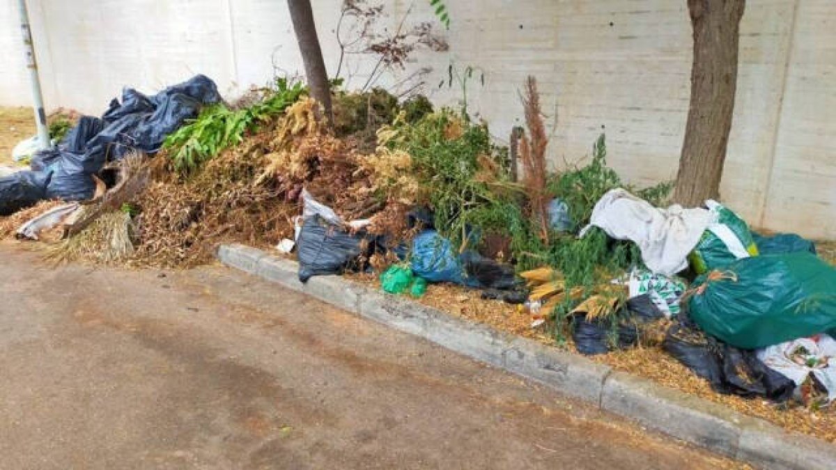 Basura y poda en una calle de Masías (Moncada).
