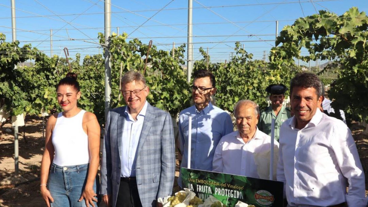 Acto del primer corte de la uva del Vinalopó, donde han coincidido Puig y Mazón