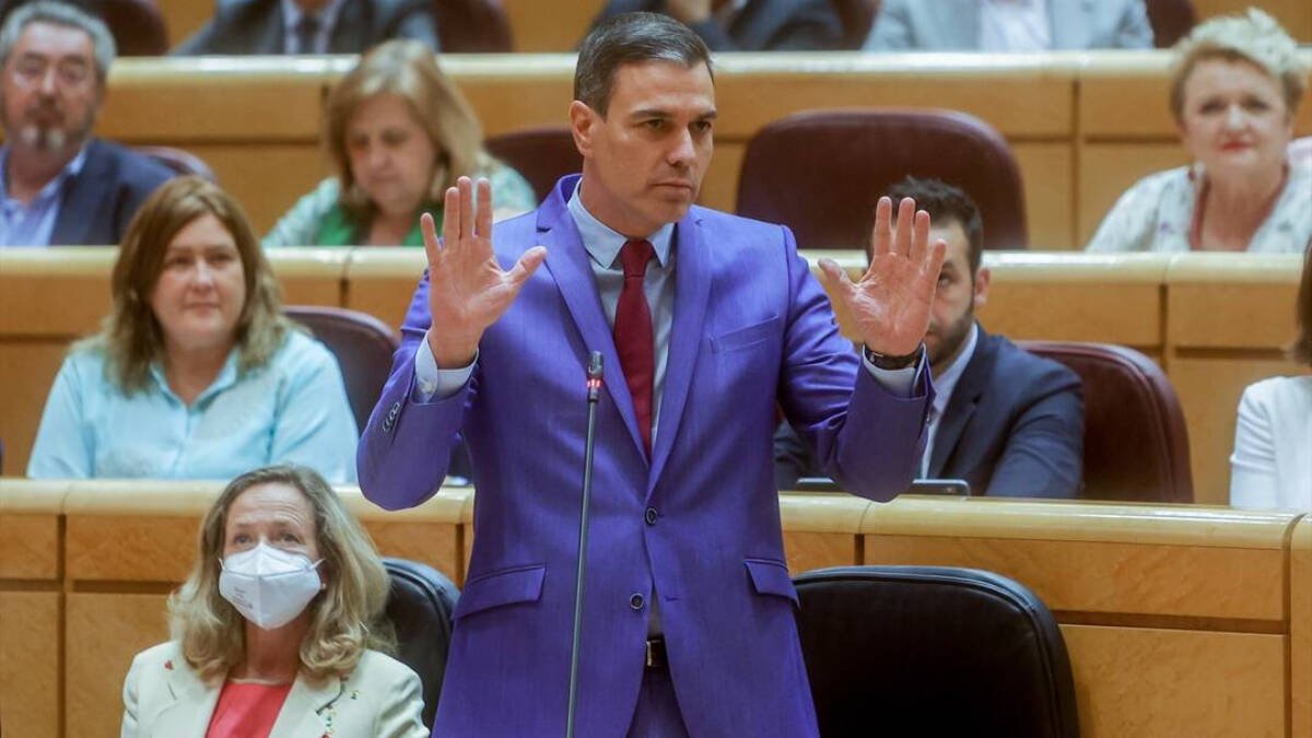 Pedro Sánchez en el Senado