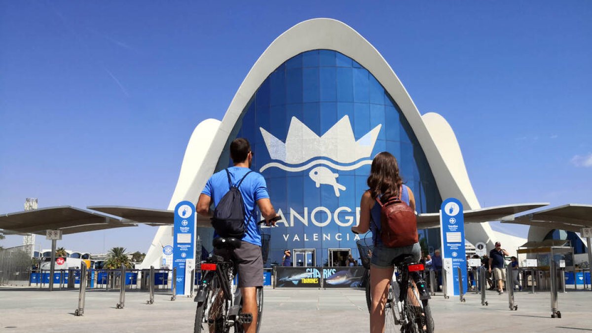 L’Oceanogràfic de la Ciutat de les Arts i les Ciències ha reduït la petjada de carboni un 40 % en cinc anys - GVA