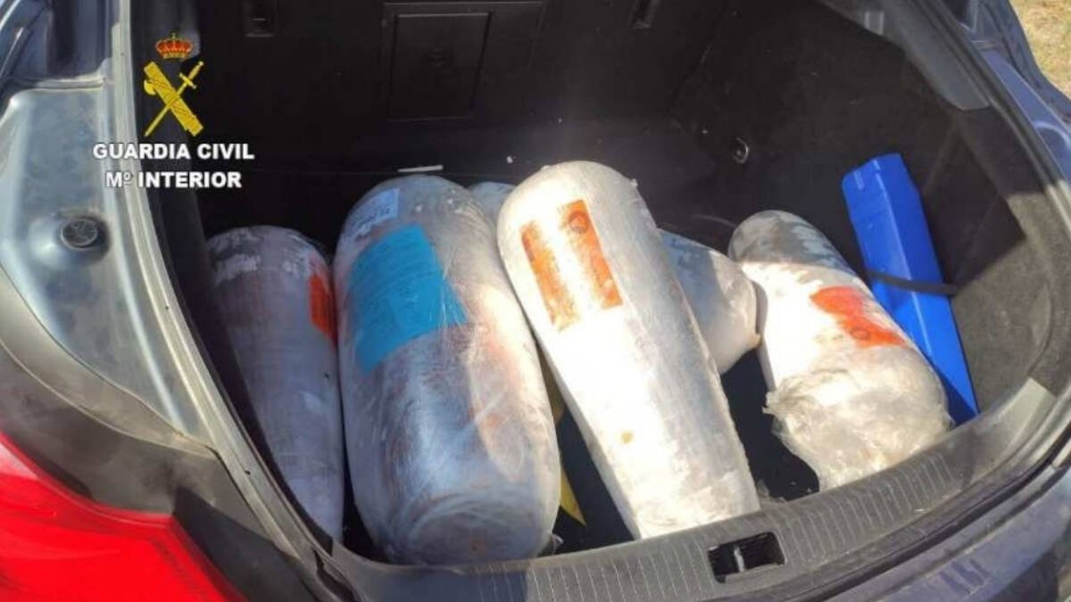 Carne intervenida sin medidas higiénicas.