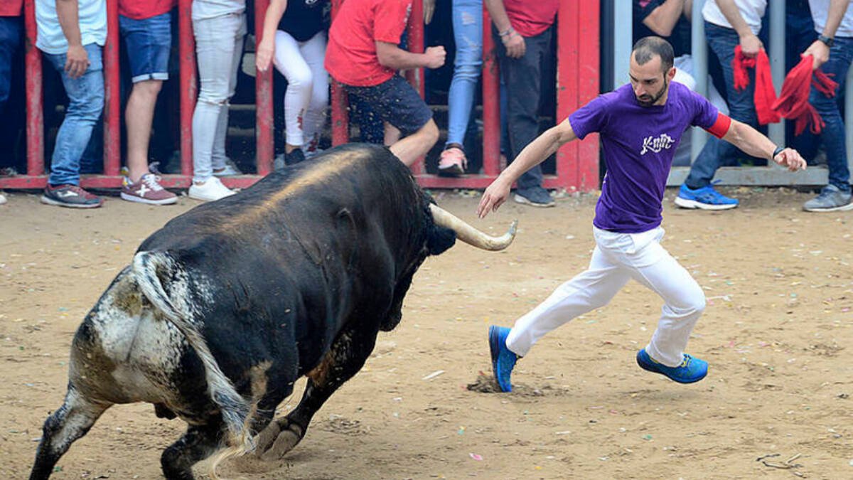 Bous al carrer