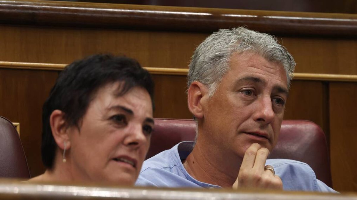 Los diputados de Bildu Aizpurua y Matute.