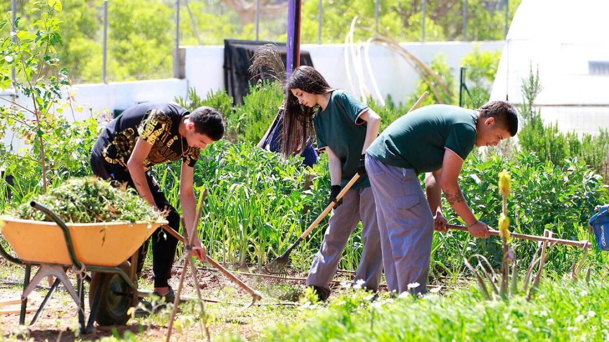 Imatge del alumnes del taller de jardineria - Sergio Maestro