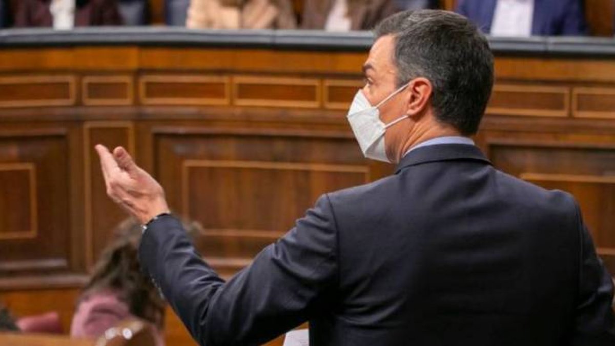 Pedro Sánchez, este miércoles en el Congreso de los Diputados.