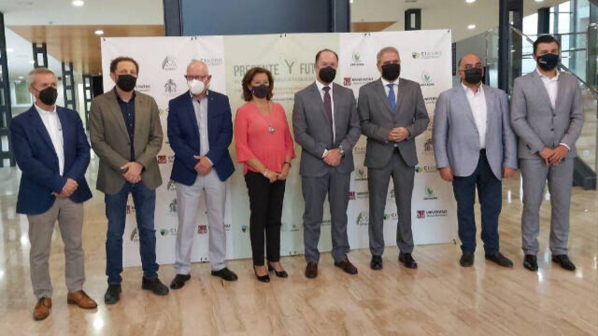 Buscando soluciones a la agricultura de la Vega Baja