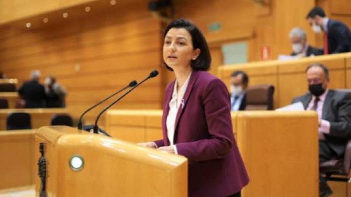 La portavoz del PSOE en el Senado, Eva Granados.