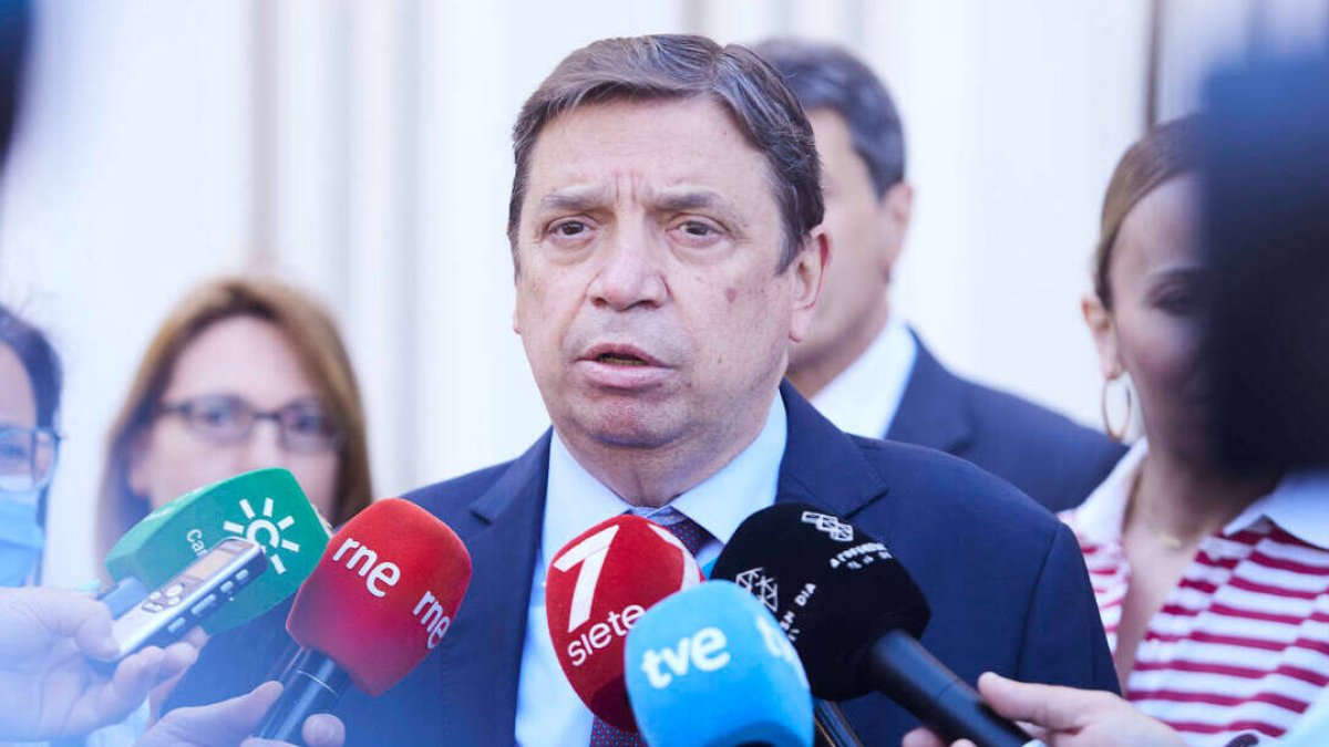 El ministro de Agricultura, Pesca y Alimentación, Luis Planas,