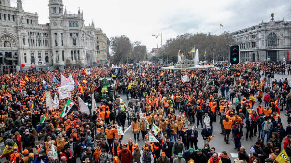 Miles de agricultores se han manifestado este domingo en Madrid