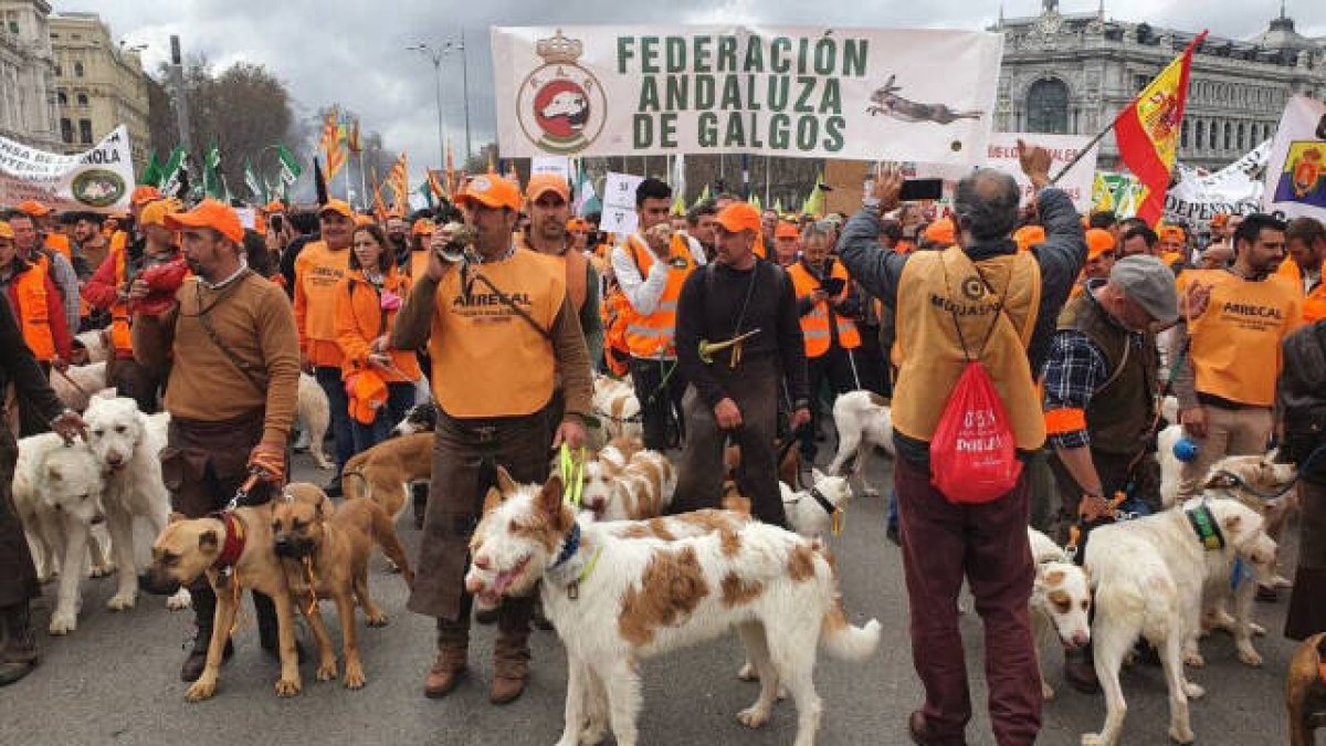 La foto de la rehala fruto de los insultos a los que Oltra pone 'me gusta'
