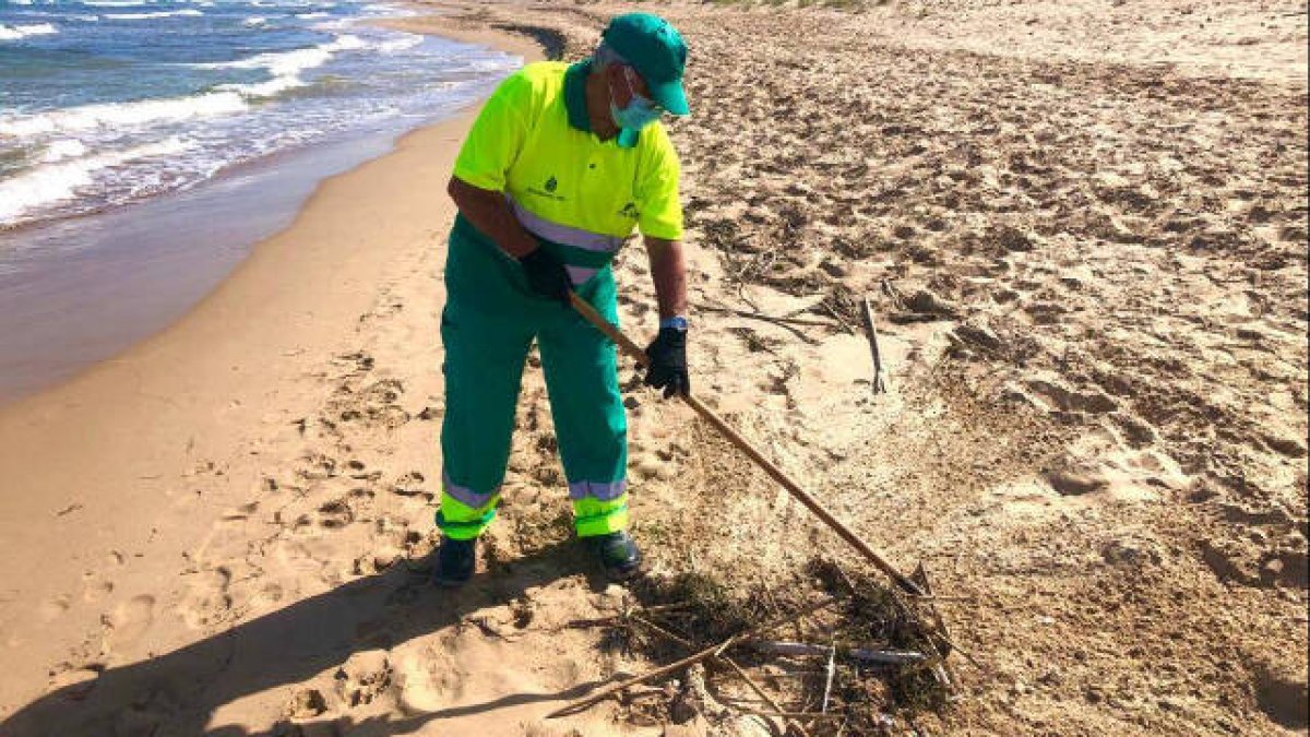 El Ayuntamiento refuerza la Limpieza en la playa de Arenales del Sol