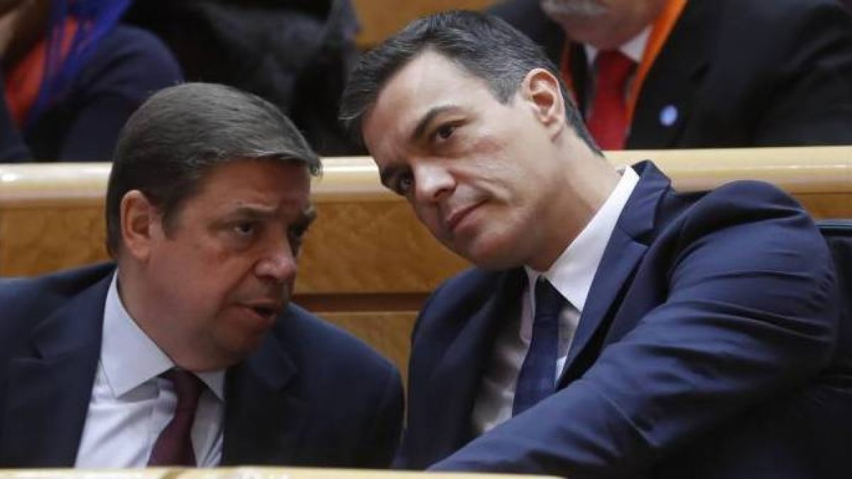 Pedro Sánchez y su ministro de Agricultura, Luis Planas.