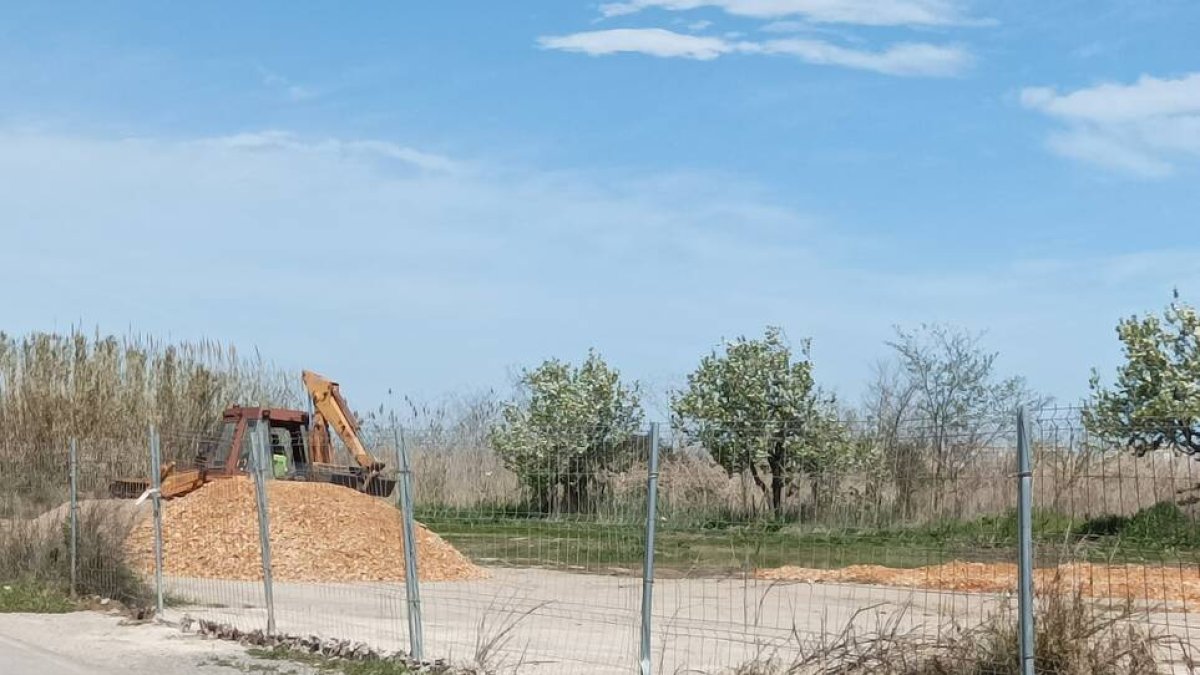 Imagen de los servicios del Ayuntamiento trabajando en habilitar uno de los ocho solares.
