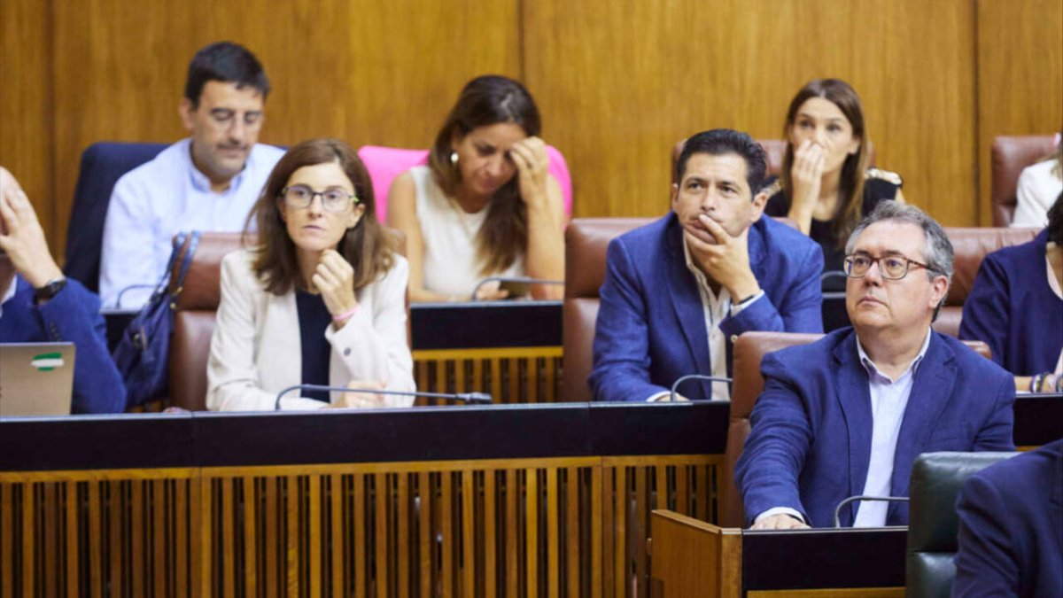 El PSOE-A, liderado por Juan Espadas, en la bancada de la oposición en el Parlamento andaluz.