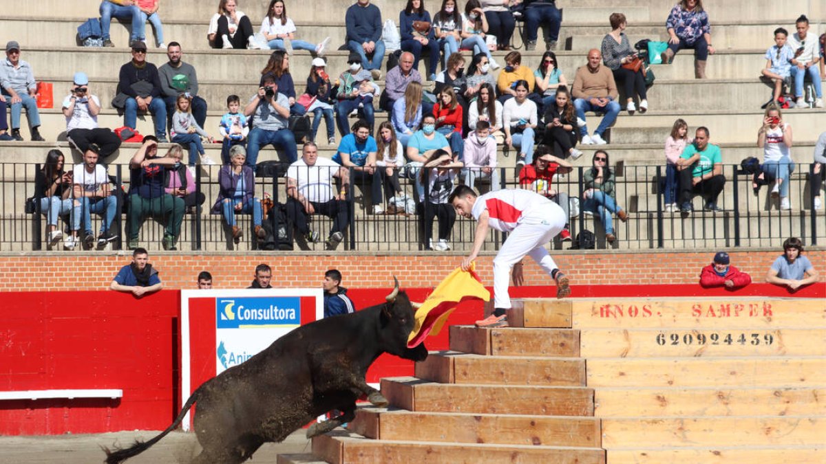Imagen de los festejos taurinos celebrados el pasado domingo - AYUNTAMIENTO DE ONDA