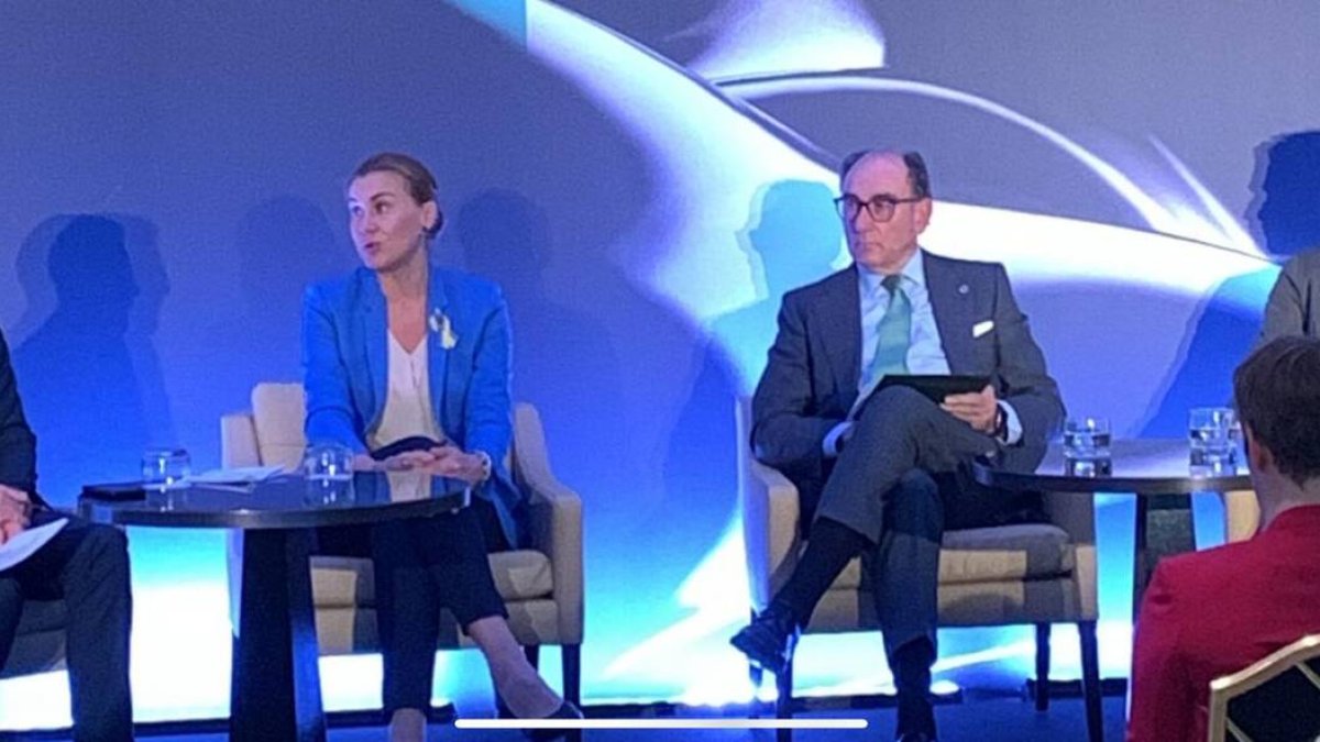 Ignacio Galán pide políticas estables en energía renovable