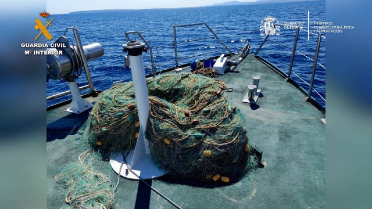 Localizan bogavantes, besugos y mantarrayas atrapados en una red de pesca ilegal