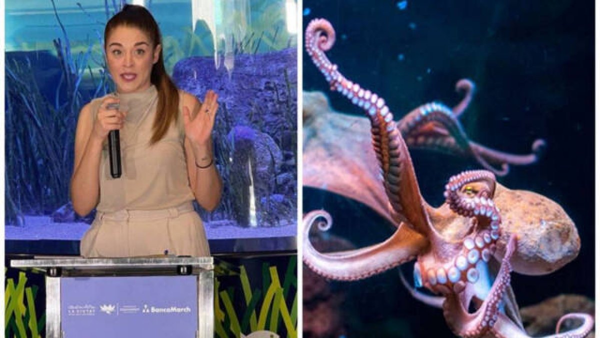 La consellera Mireia Mollà y un pulpo