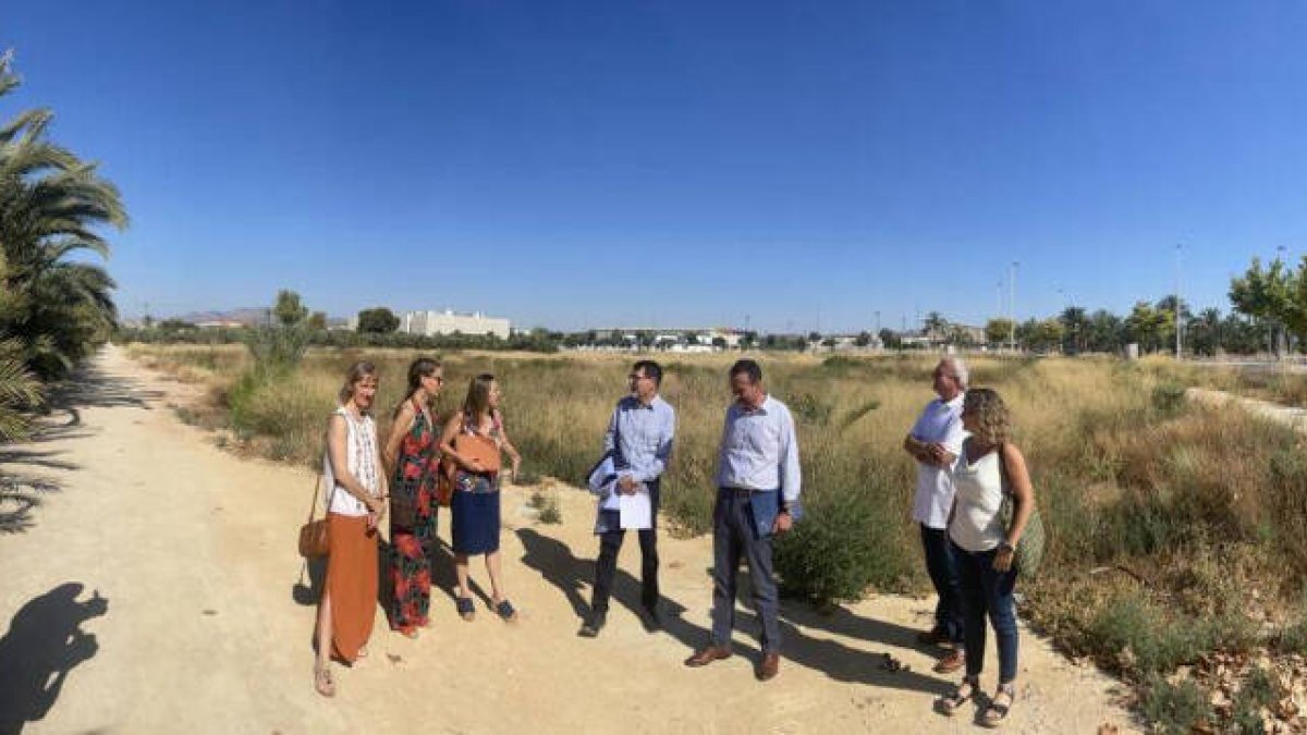 El futuro Conservatorio de Elche estará ubicado junto al colegio Clara Campoamor