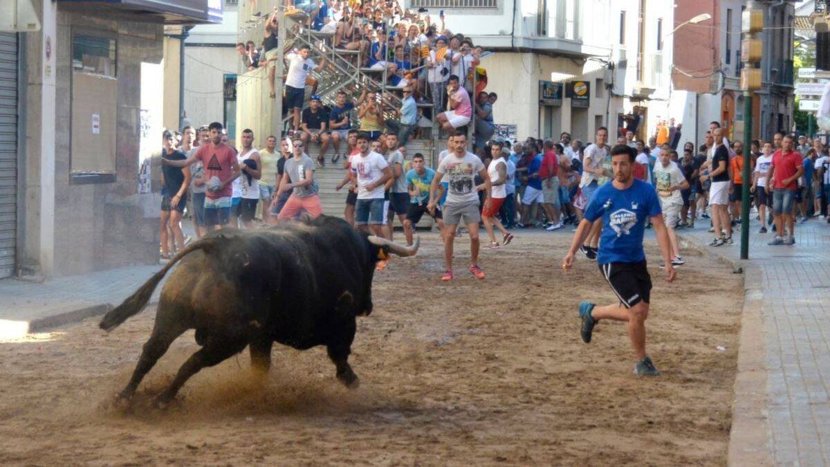 Bous al carrer