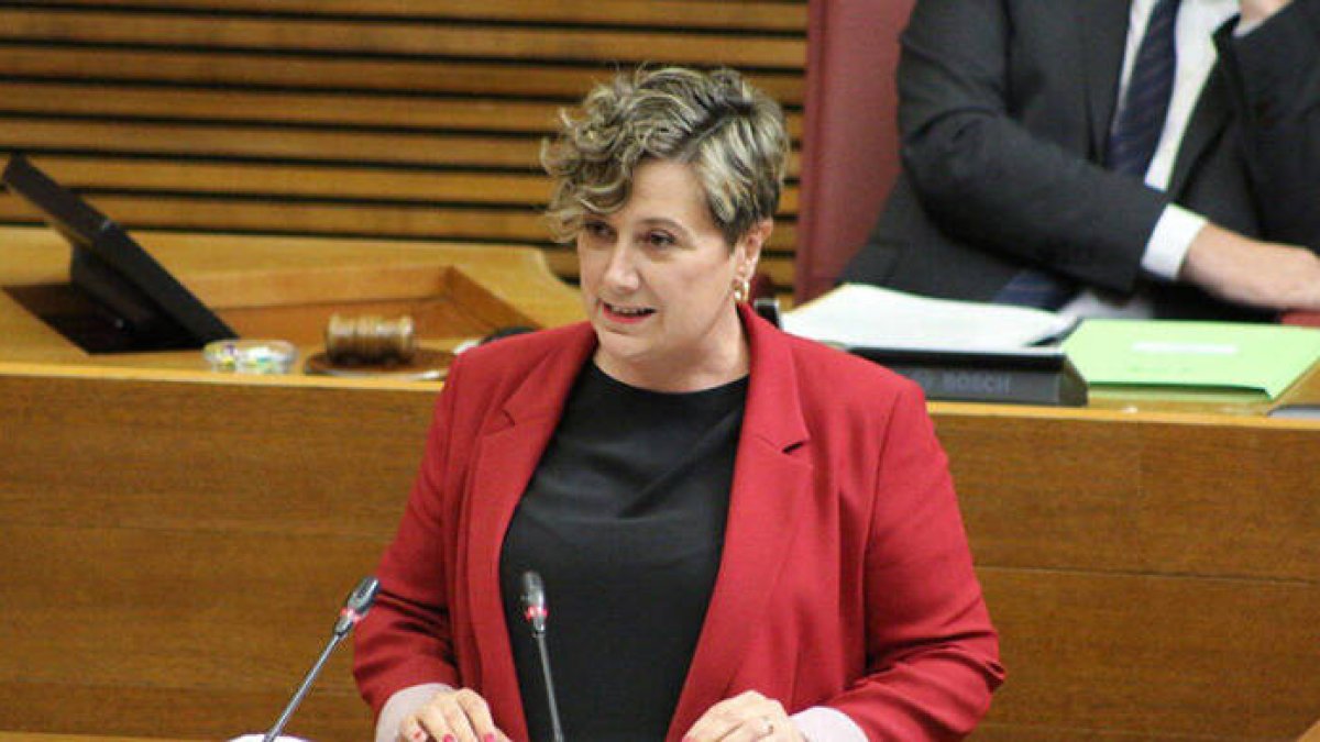 La autora del artículo considera que Conselleria de Educación, que dirige Raquel Tamarit, deja solos a los profesionales en las alas.