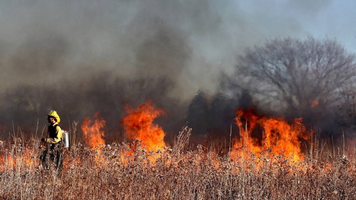El Ministerio de Ciencia investiga en el cambio climático y los incendios