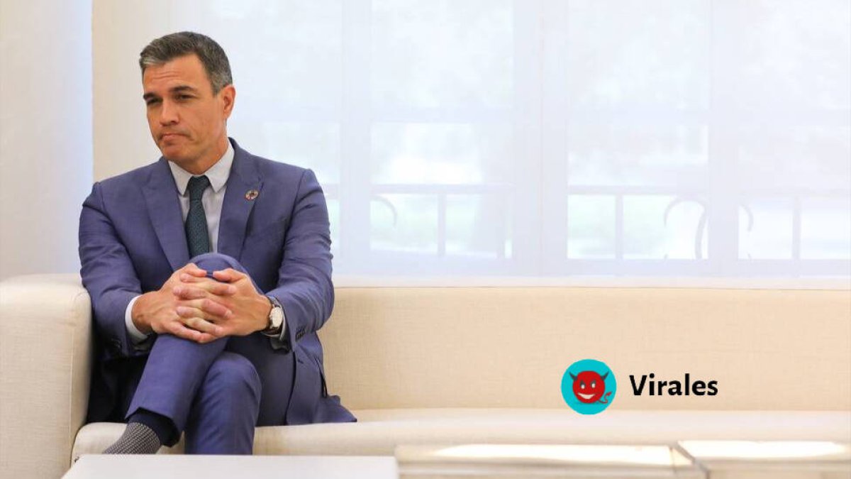Pedro Sánchez
