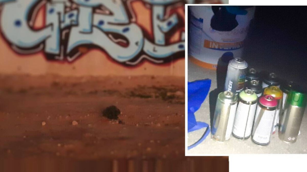La Policía Local sorprende a tres jóvenes grafiteando el puente de la ronda Sur