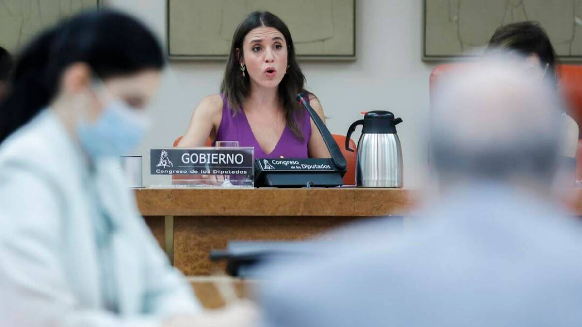 Irene Montero en su intervención en el Congreso