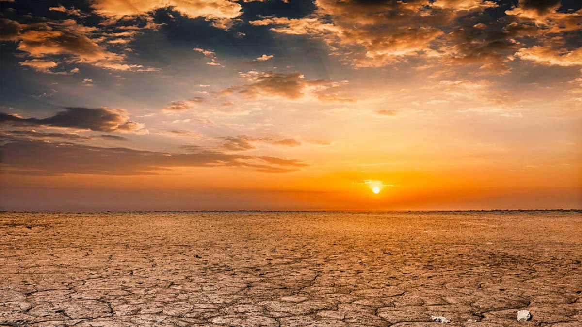 El cambio climático también afecta a la salud