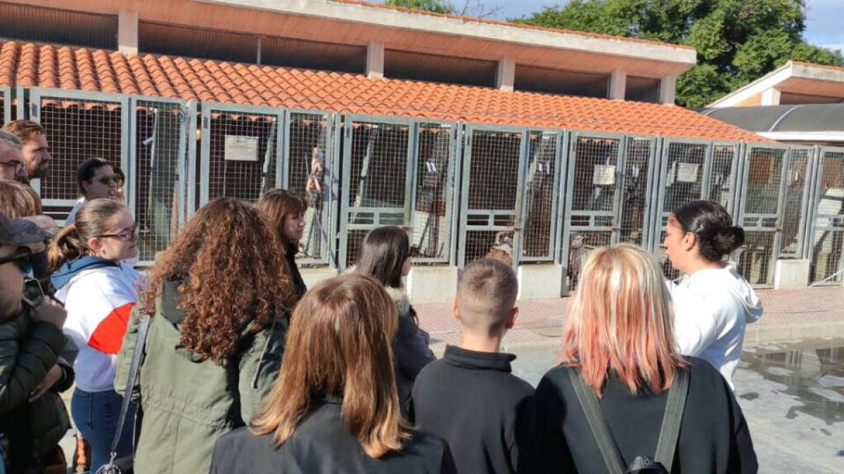 Curso de prevención de violencia en el refugio de animales de Valencia.