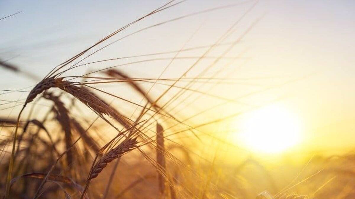 El libro de la sostenibilidad vuelve a reconocer los esfuerzos de Mapfre