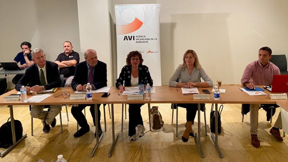 Imagen de Josefina Bueno, consellera de Innovación, Universidades, Ciencia y Sociedad Digital, en la AVI - GVA