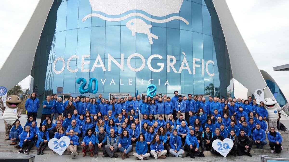 Oceanogràfic de la Ciutat de les Arts i les Ciències celebra su 20 aniversario - GVA