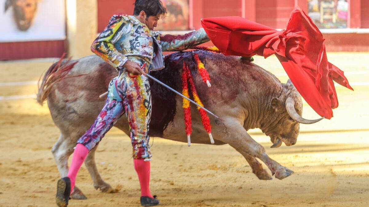Cayetano Rivera, en la Corrida Picassiana. Europa Press.