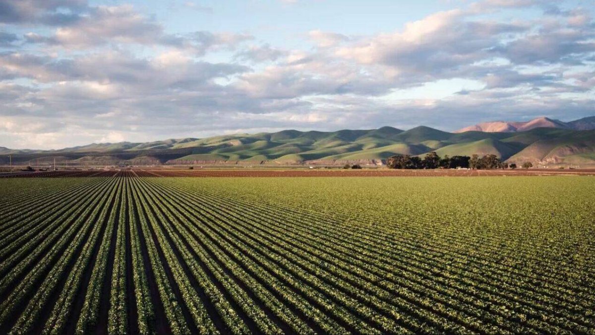 Cómo optimizar el uso de fertilizantes para reducir su impacto ambiental